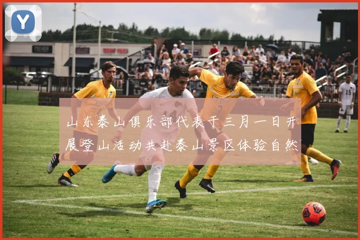山东泰山俱乐部代表于三月一日开展登山活动共赴泰山景区体验自然之美