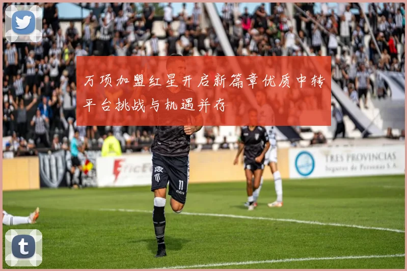 万项加盟红星开启新篇章优质中转平台挑战与机遇并存