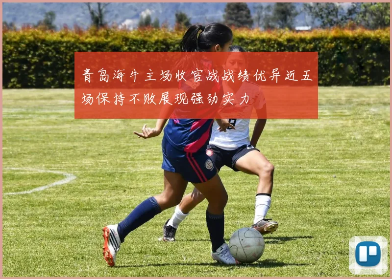 青岛海牛主场收官战战绩优异近五场保持不败展现强劲实力