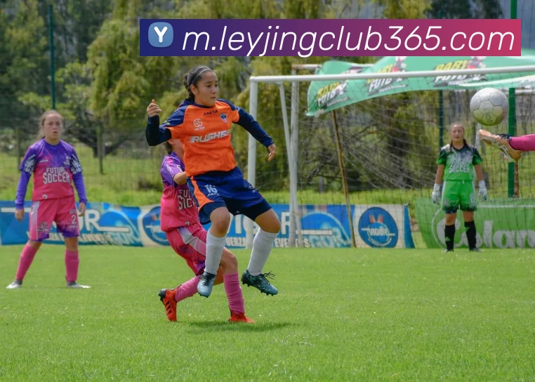 App Interface Preview